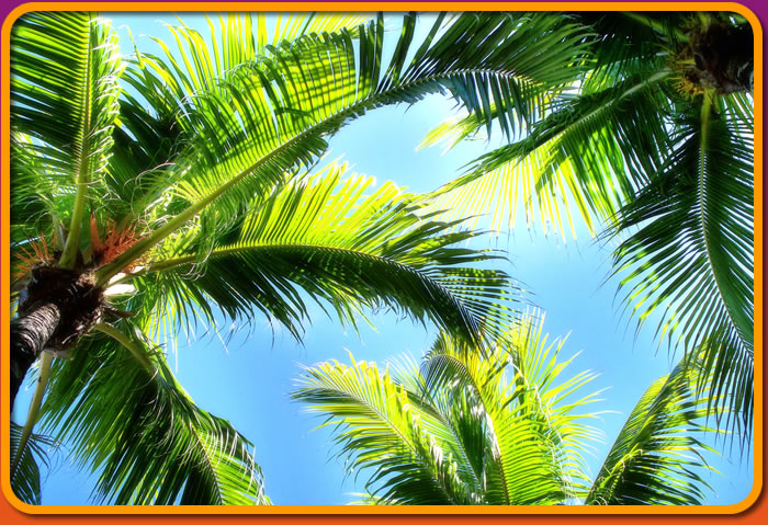 Island Beatz Radio